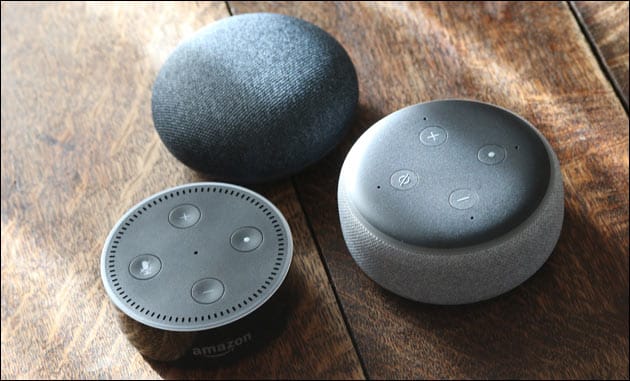 Amazon Echo + Google Home Mini